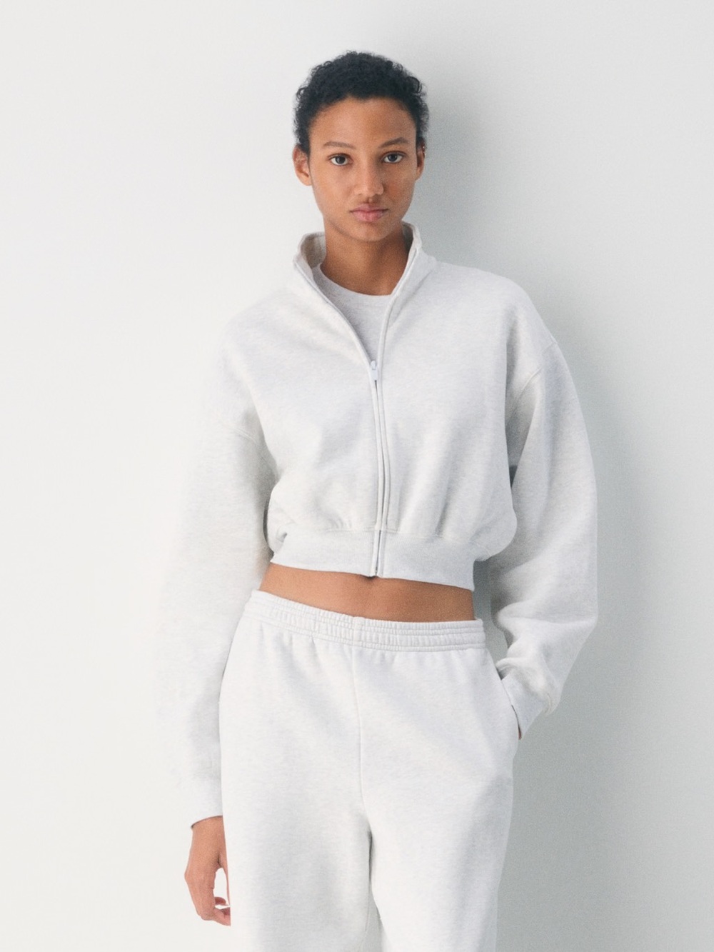 Aritzia Cozy Sweatfleece Boyfriend Mock Crop Zip-Up Heather Grey Size XS